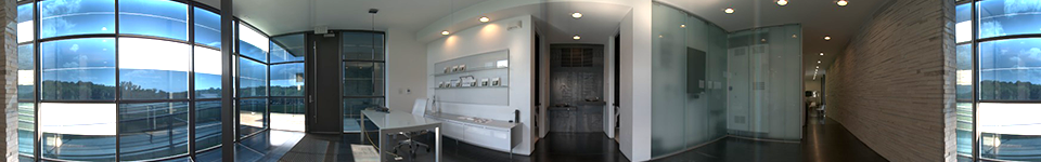 Professor Huw THOMAS